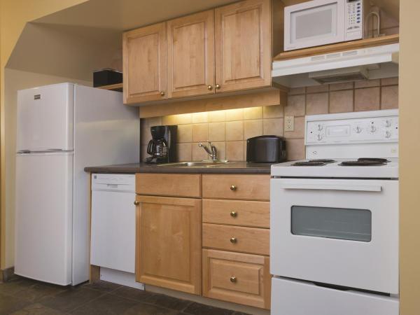 Mountainside Lodge : photo 2 de la chambre suite loft