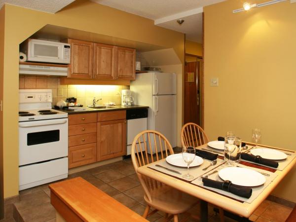 Mountainside Lodge : photo 4 de la chambre suite 1 chambre