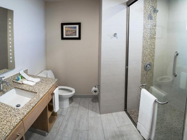 Medano Hotel and Spa : photo 1 de la chambre chambre de luxe avec 2 lits queen-size.