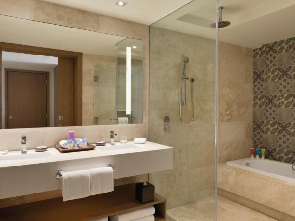 Hyatt Ziva Cancun : photo 5 de la chambre dolphin view master king (with sofa bed)