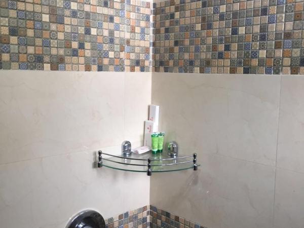 Pamposh Guest House GK II Market : photo 1 de la chambre chambre double supérieure