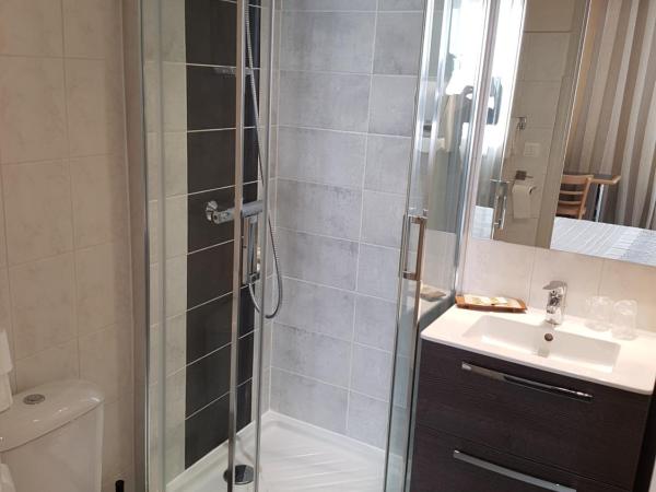 Logis Hôtel du Midi - Rodez Centre-Ville : photo 3 de la chambre chambre double