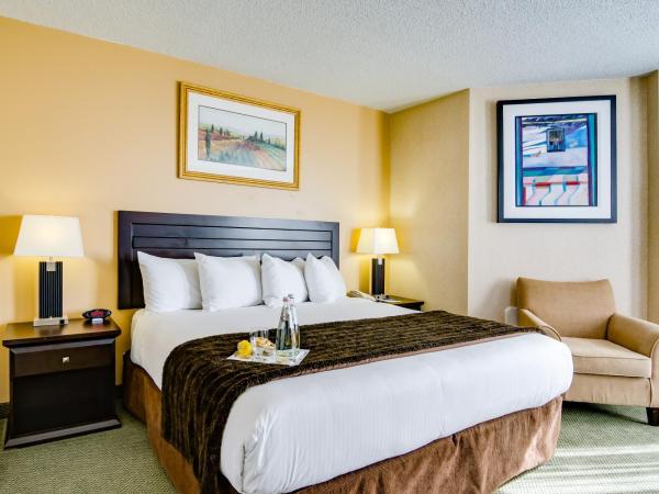 Sawridge Inn and Conference Centre Edmonton South : photo 4 de la chambre suite 1 chambre