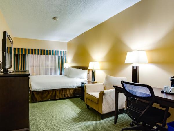Sawridge Inn and Conference Centre Edmonton South : photo 2 de la chambre suite familiale