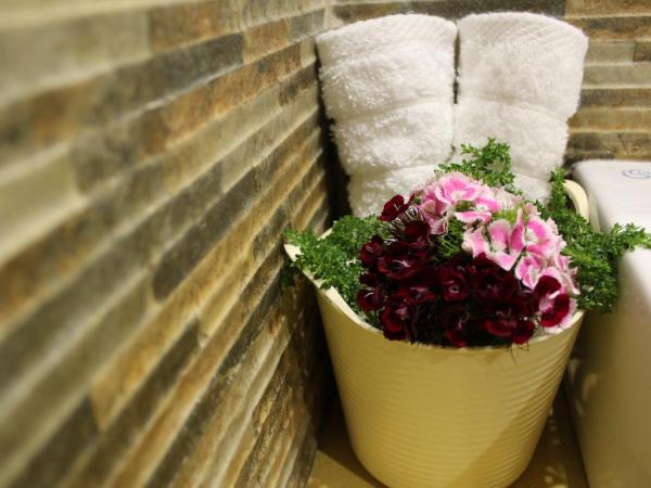 Georgia Old Town Apartments : photo 10 de la chambre studio avec terrasse