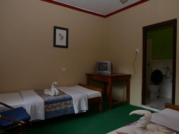 Nepali Cottage Guest House : photo 2 de la chambre chambre lits jumeaux standard