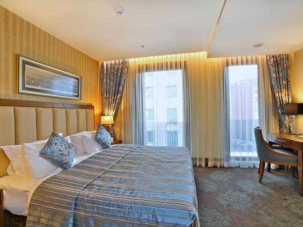 Adelmar Hotel Istanbul Sisli : photo 3 de la chambre chambre simple deluxe