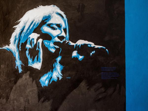 The Full Moon Backpackers : photo 2 de la chambre bunk bed in male dormitory room sleeps 3