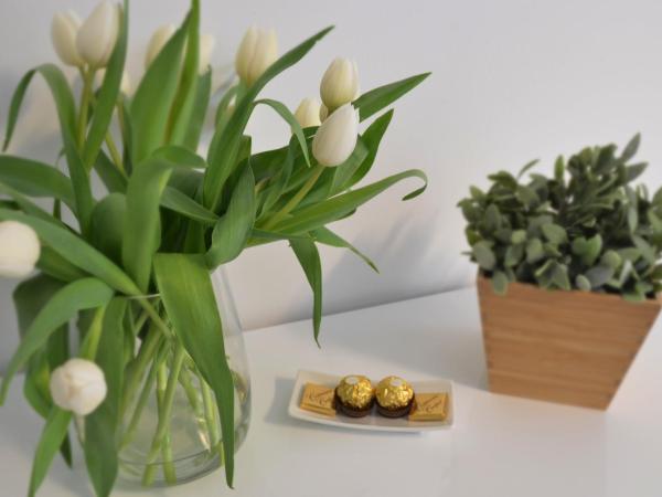 Munich Aparthotel : photo 1 de la chambre studio deluxe