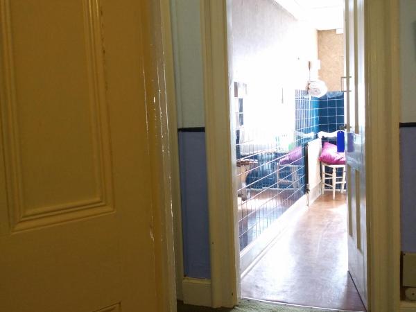 River Hotel : photo 4 de la chambre chambre simple basique avec salle de bains