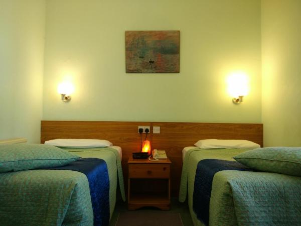 River Hotel : photo 1 de la chambre chambre lits jumeaux standard avec salle de bains privative