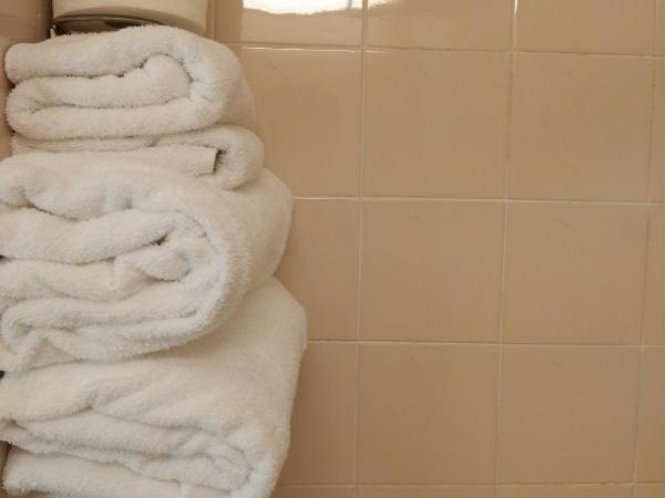 River Hotel : photo 5 de la chambre chambre simple basique avec salle de bains