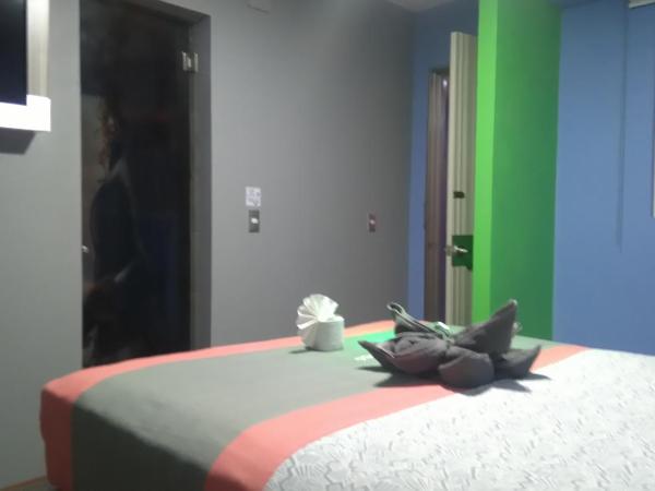 Hotel H - Eco Adults Only : photo 1 de la chambre chambre double