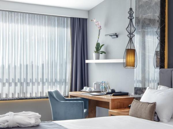 Volley Hotel Istanbul : photo 8 de la chambre suite lit king-size