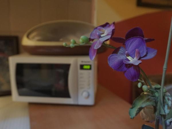 Chillout Lya Hostel & Lounge : photo 3 de la chambre appartement (1-20 adultes) 