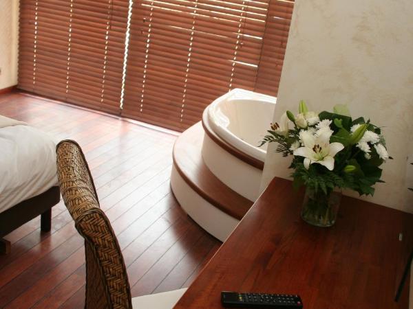 Ile du Gua Suites : photo 8 de la chambre suite avec baignoire spa et kitchenette