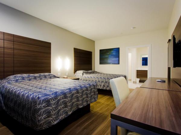 Palace Inn Blue US-59 & Gessner : photo 2 de la chambre chambre avec 2 grands lits queen-size 