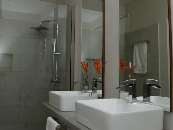 Les 2 canons : photo 7 de la chambre chambre double deluxe