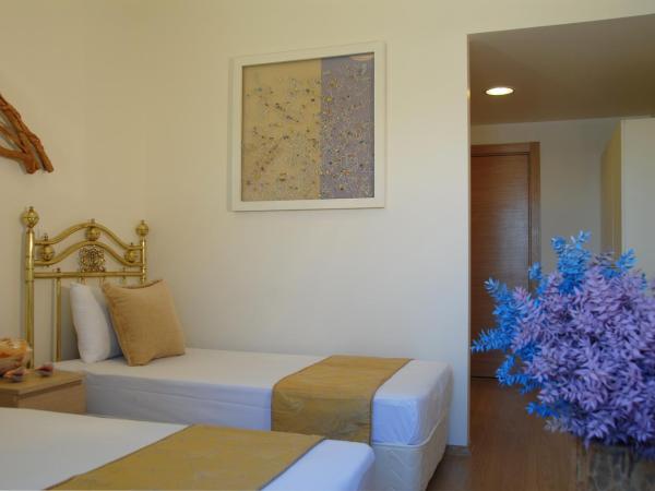 Han Hotel : photo 3 de la chambre chambre lits jumeaux supérieure