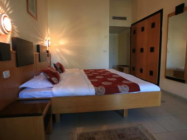 Hotel Les Palmiers : photo 3 de la chambre chambre lits jumeaux standard