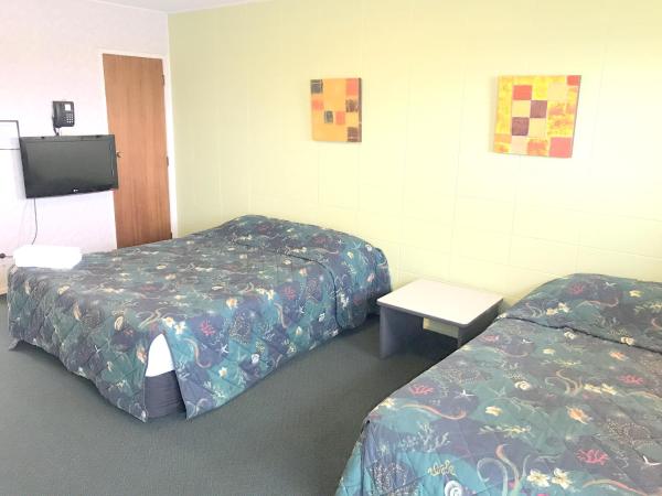 Greenview Motel : photo 6 de la chambre studio classique