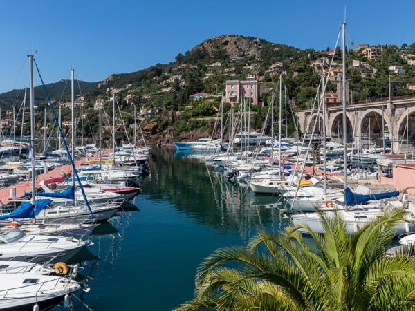 Riviera Beach Hotel : photo 1 de la chambre chambre double supérieure