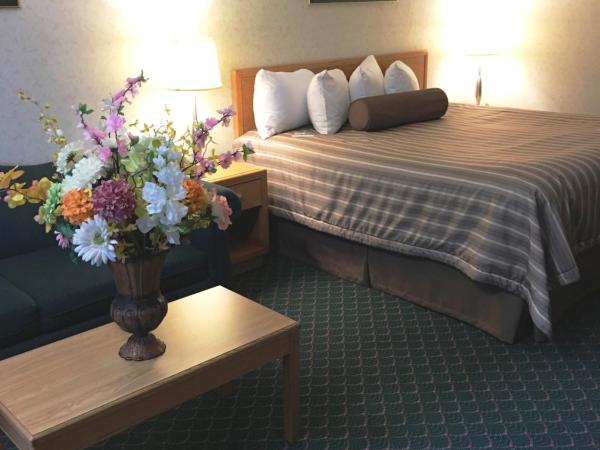 Travelodge by Wyndham Winnipeg East : photo 5 de la chambre chambre lit king-size standard - non-fumeurs