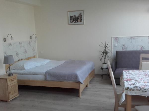 Sopot Roza Apartments : photo 3 de la chambre studio deluxe