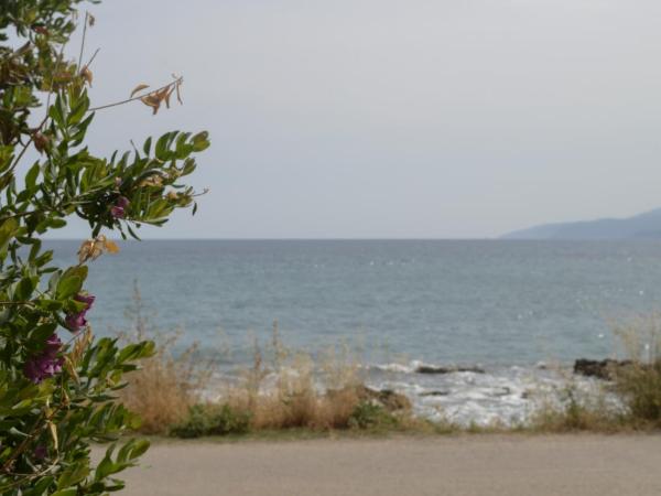 Andromeda Apartments & Studios : photo 9 de la chambre studio - vue sur mer