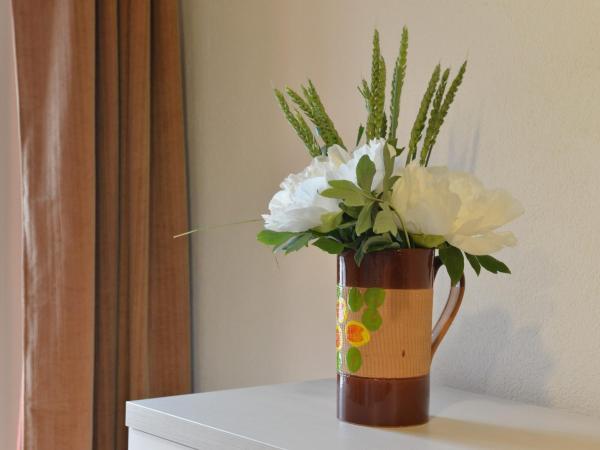 Vecchio Mulino Guest House : photo 9 de la chambre appartement