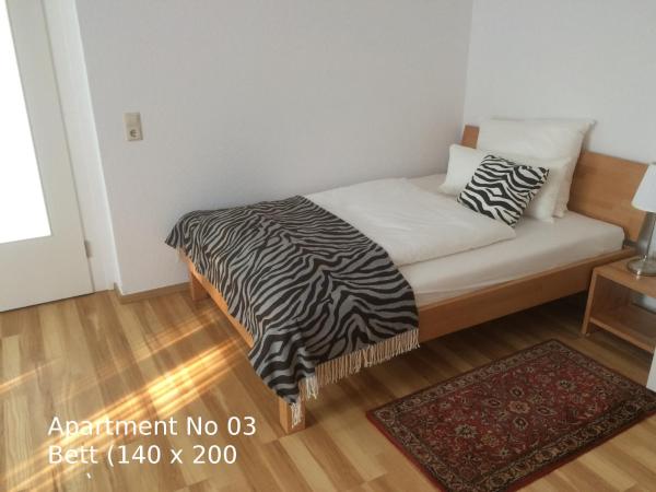 Villa Marie Mannheim : photo 3 de la chambre appartement - rez-de-chaussée (3) avec jardin d'hiver