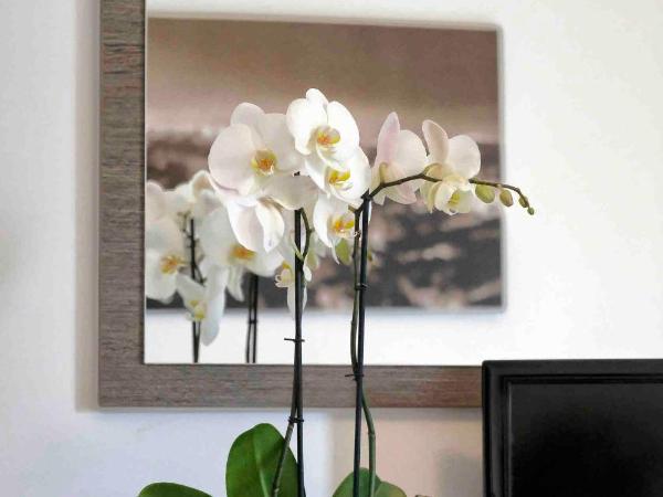 Hotel Gelmini : photo 2 de la chambre chambre double ou lits jumeaux