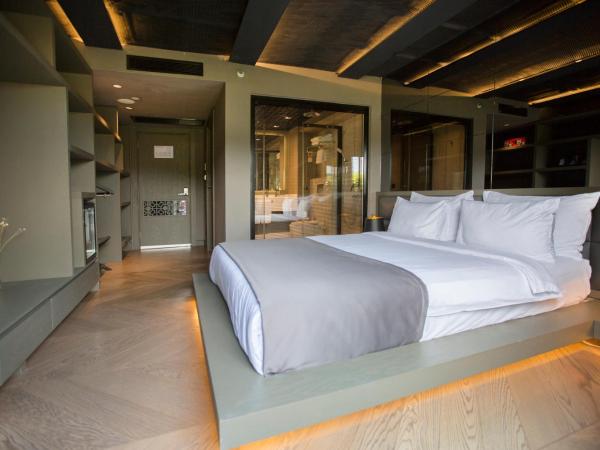 Cityloft 81 : photo 6 de la chambre chambre de luxe avec terrasse