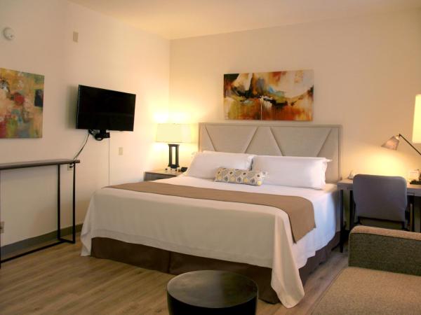 Kawada Hotel : photo 1 de la chambre chambre lit king-size