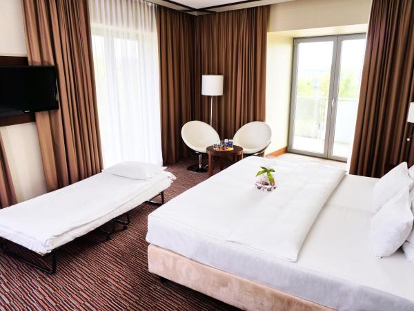 Copernicus Toruń Hotel : photo 2 de la chambre chambre double avec lit d'appoint