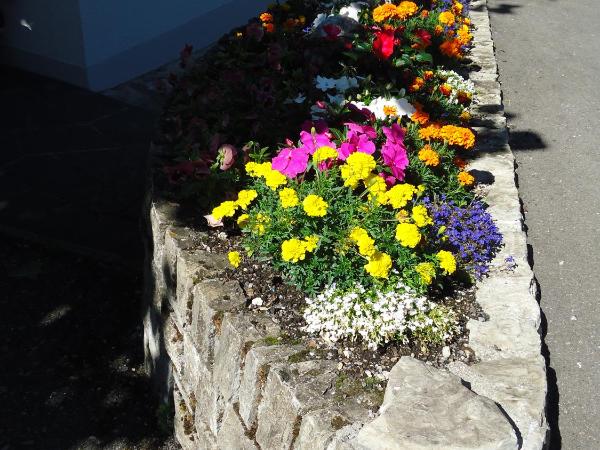 Hotel Tschuggen : photo 1 de la chambre chambre double avec salle de bains commune