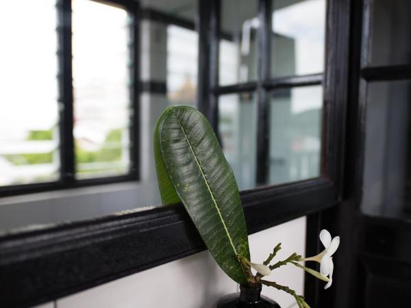 The Marian Boutique Lodging House : photo 3 de la chambre chambre standard lit queen-size