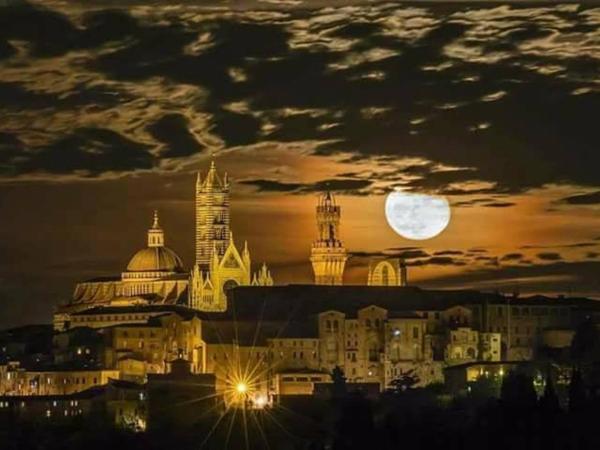 Agriturismo Colombino : photo 4 de la chambre appartement 1 chambre