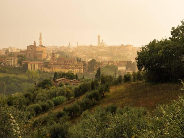 Agriturismo Colombino : photo 5 de la chambre appartement 1 chambre