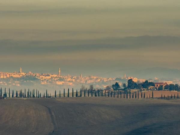 Agriturismo Colombino : photo 6 de la chambre appartement 1 chambre