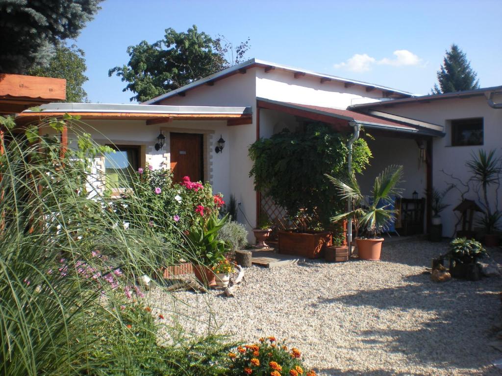 Sophia Cozy Self Catering Apartment 1