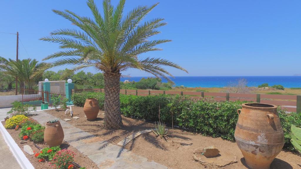 Villa Katerina Holiday Apartments 8