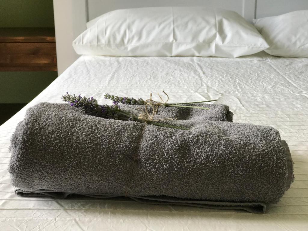 un sac gris assis au-dessus d'un lit dans l'établissement Dimorra Country House, à Castelvenere 38 autres photos