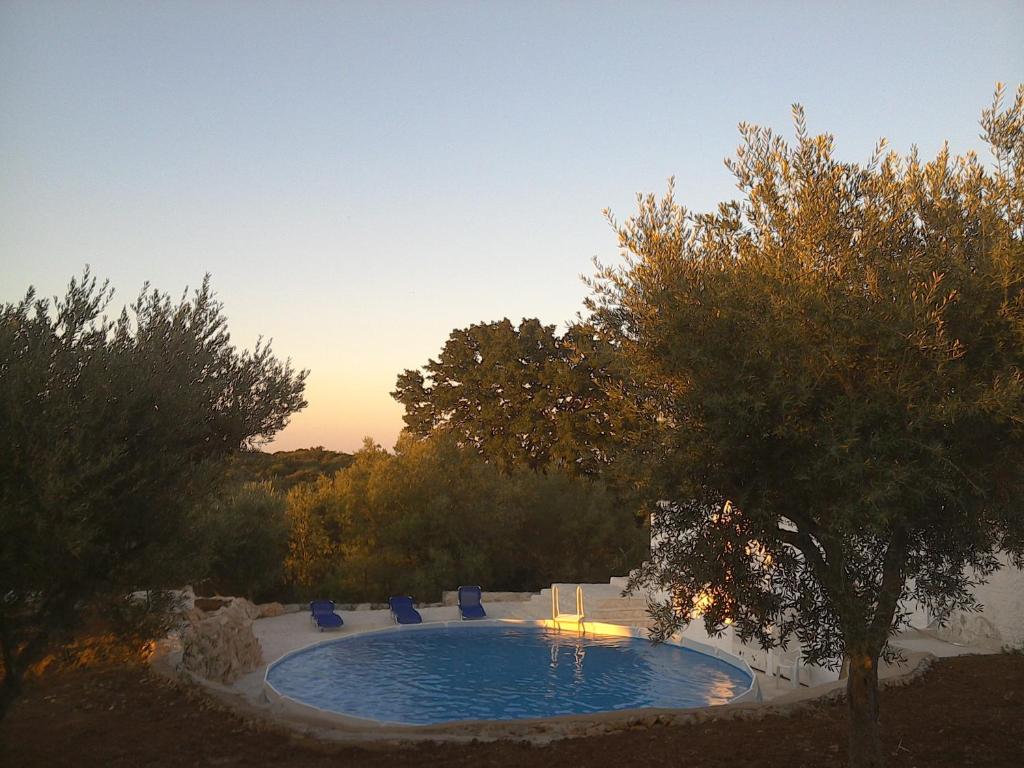 une grande piscine avec des chaises et un arbre dans l'établissement Trullocarluccio, à Monopoli