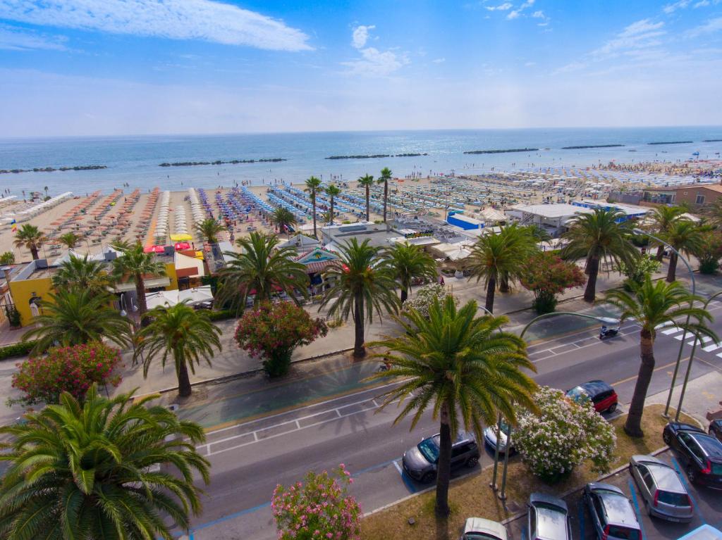 - une vue sur une plage avec des palmiers et des voitures dans l'établissement Hotel Progresso, à San Benedetto del Tronto