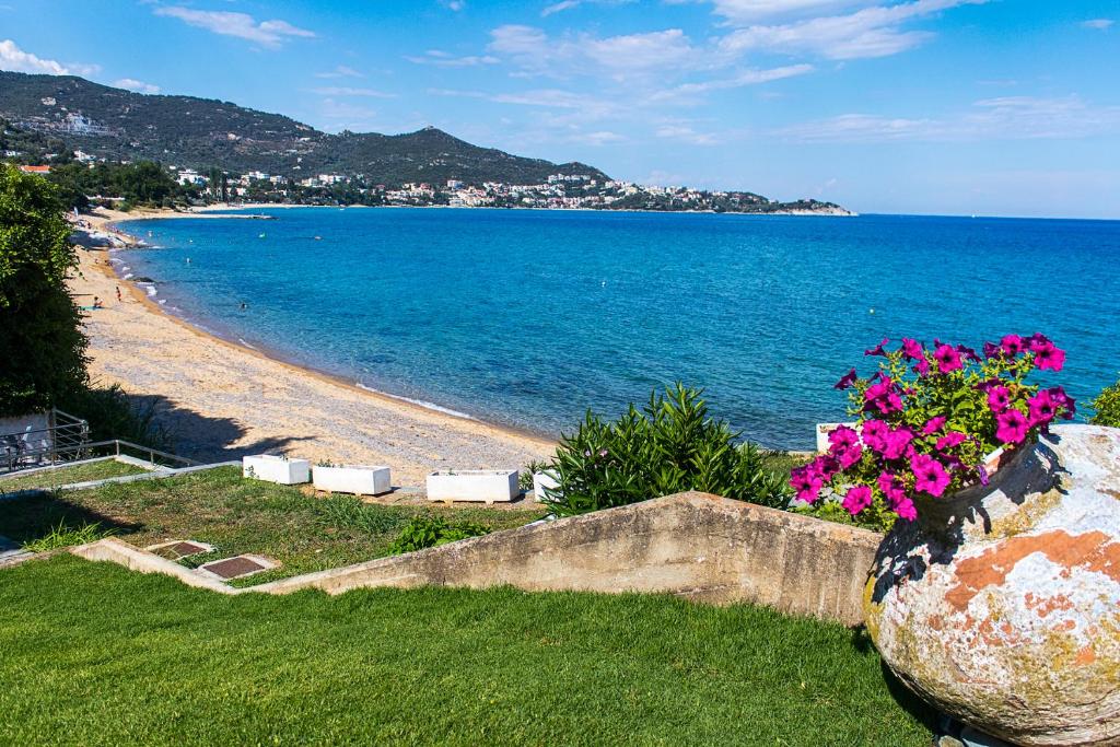 Thalassa Luxury Apartment 8