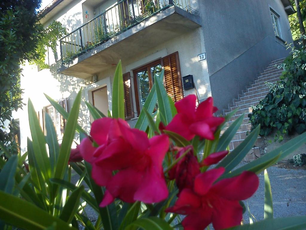 Apartman Svilno 7