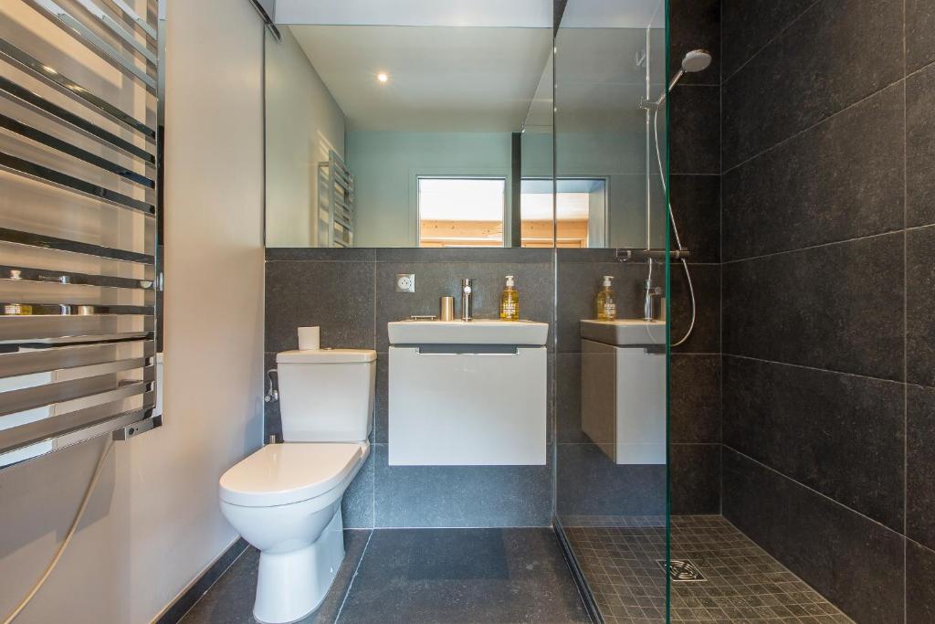 une salle de bain avec toilettes, lavabo et douche dans l'établissement Appartement Le Danay 10 personnes, au Grand-Bornand 26 autres photos