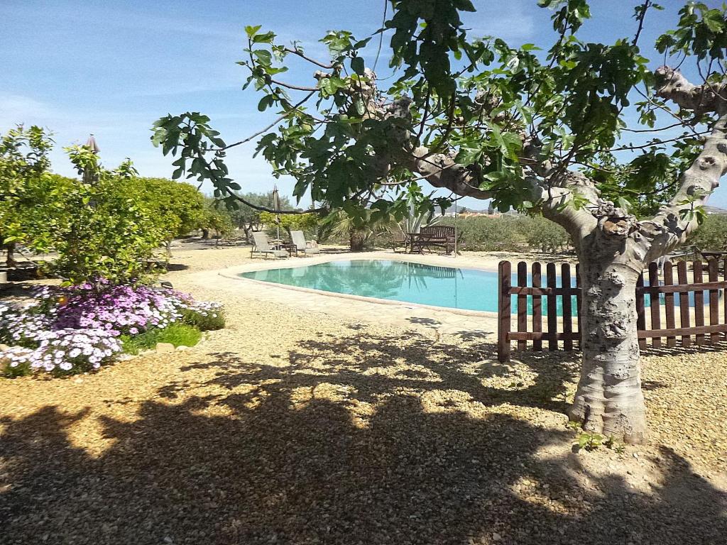 Finca Arboleda 8