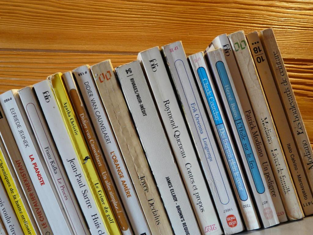 une rangée de livres alignés sur une étagère dans l'établissement Chalet Saint Bernard, à Montgenèvre